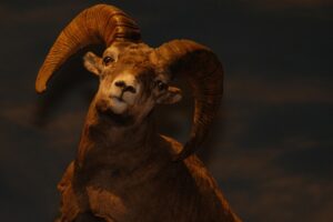Virtuelle bordspil og digitale dealer: Online casinoernes evolution